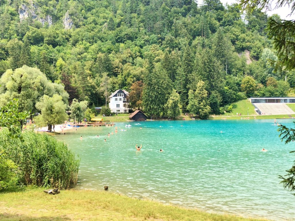 Swimming in Lake Bled, Slovenia