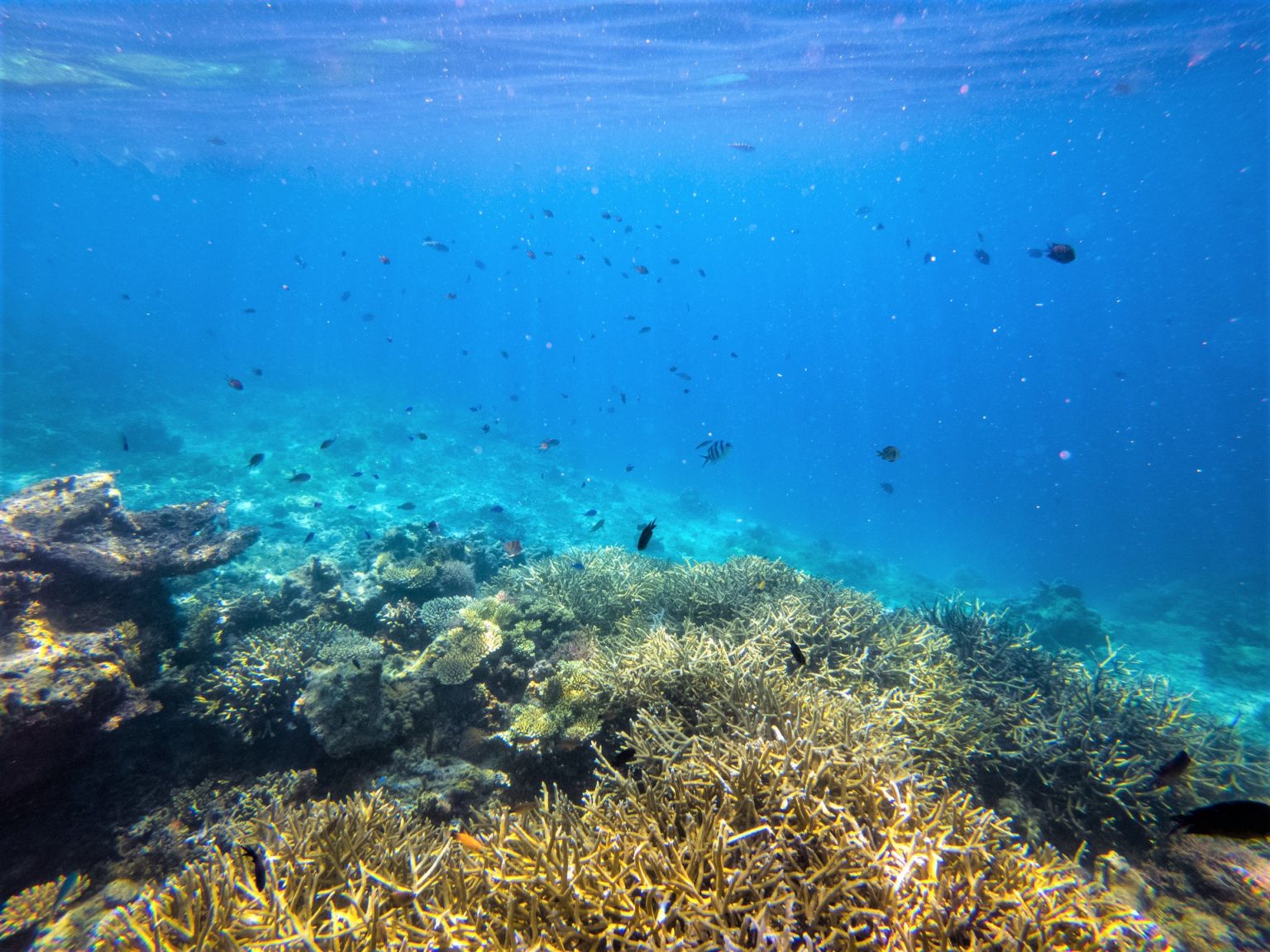 Breathtaking landscape and colorful underwater world: Guide to El Nido ...