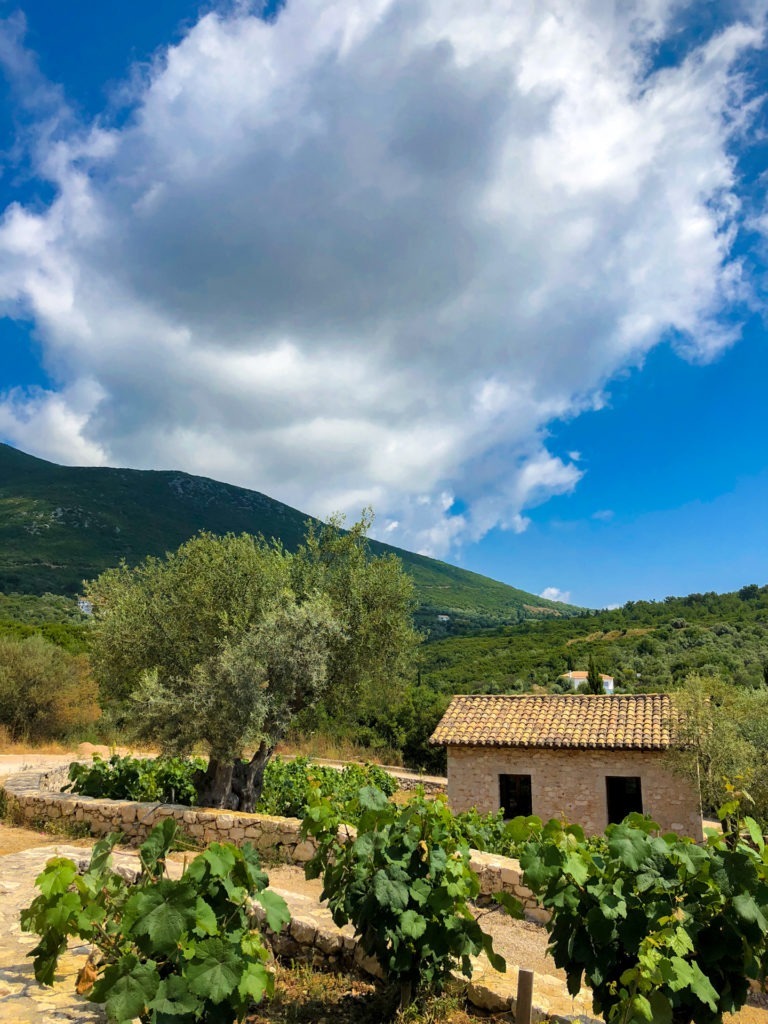 Lefkaditiki winery and vineyard views, Lefkada, Greece