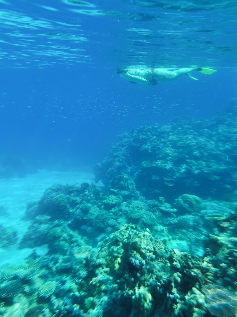 Apo Reef by snorkeling