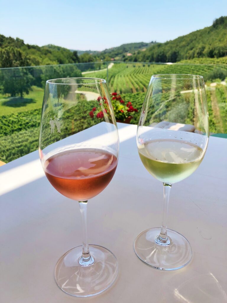 Kozlović Winery and vineyard